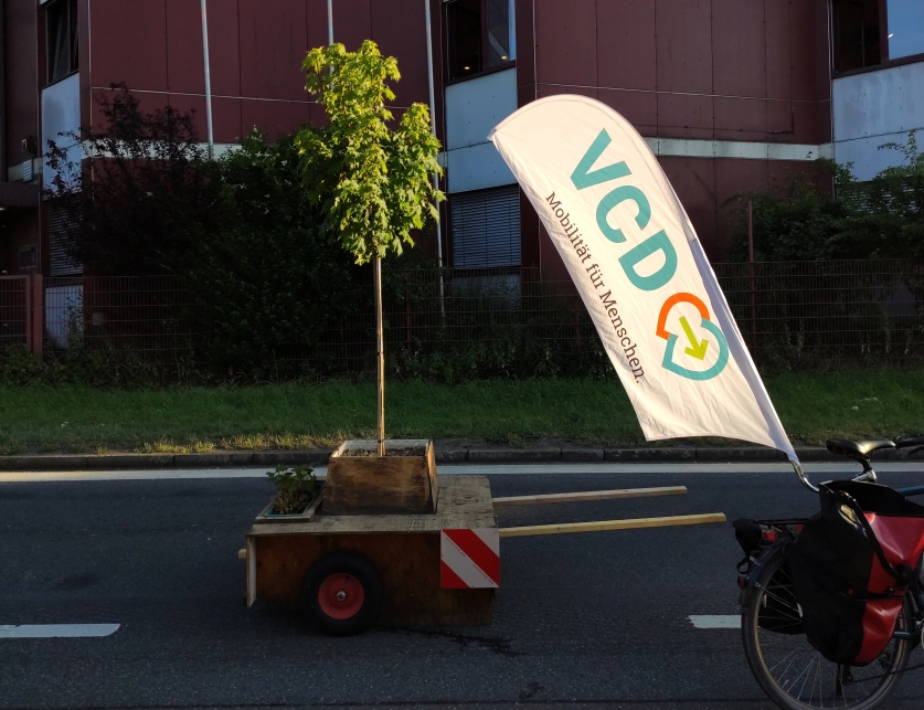 Wanderbaum beim Norisbiking